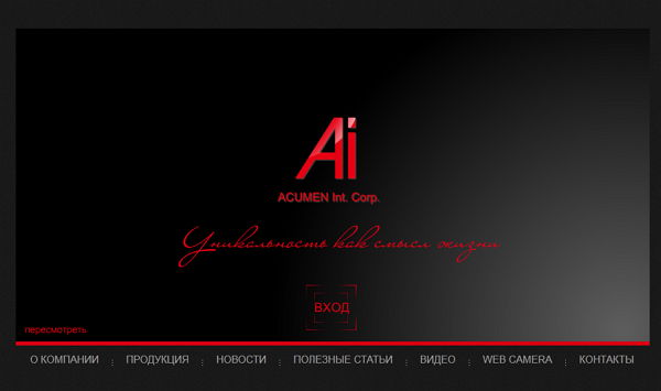 Сайт для представительства ACUMEN Intercontinental Corp