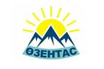 Разработка логотипов в Алматы